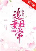 偏执狂的追妻法则