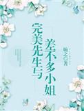 完美先生与差不多小姐免费观看电视