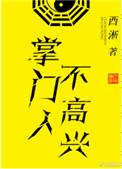 掌门人不高兴TXT电子书