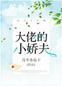 大佬的小娇夫 作者金盏子