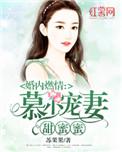 婚内燃情慕少宠妻甜蜜蜜百度