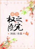 权臣之妻重生无防盗