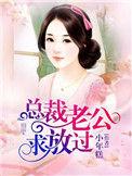 宠妻缠绵总裁老公