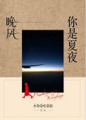你是夏夜晚风歌词