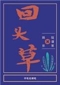 回头草白马