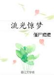 流光惊梦 txt