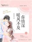 暖风不及你情深无广告