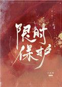限时保护16章