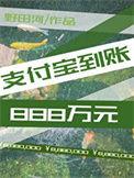 支付宝到账8888元