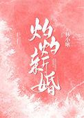 灼灼新婚姜听雨txt