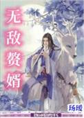 无敌赘婿 沈浪