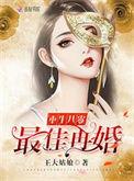 重生之最佳再婚王大姑娘