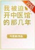 我被迫开中医馆的那几年 叶思清