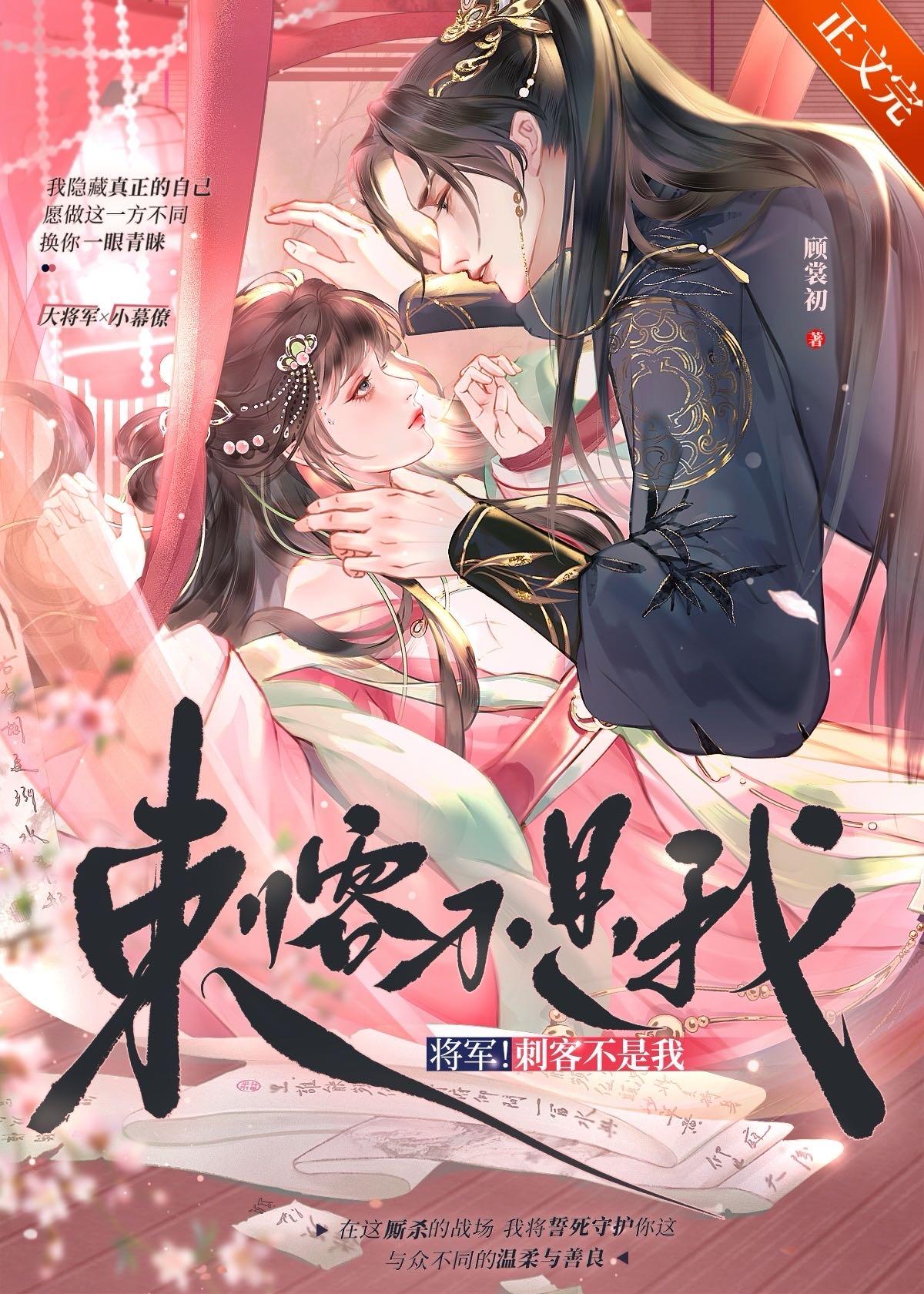 将军刺客不是我TXT