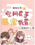 重生九零之空间在手txt