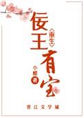 佞王休妃免费
