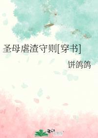 圣母婊男主