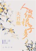 夫君他人傻银子多作者莫二月