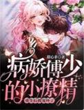 病娇傅少