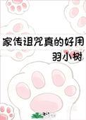 家族诅咒经典传奇