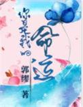 先婚后爱你是我的命运