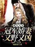 重生九零冠军娇妻又野又凶全文