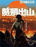 赘婿出山 3