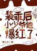 装乖后小少爷他爆红了讲什么