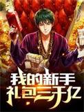 我的新手礼包三千亿完结全本