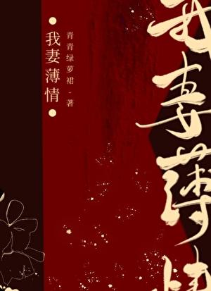 我妻薄情讲的什么