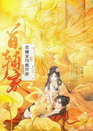 首辅家的小夫郎免费阅读全文