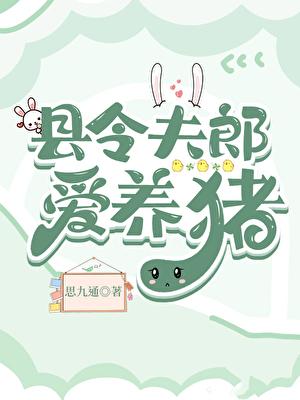 县令夫妇的日常