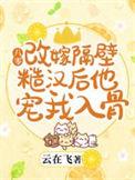 八零改嫁隔壁糙汉后他宠我入骨 云在飞