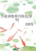 徒弟太乖了怎么办? 作者lililyly