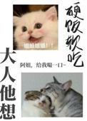 大人他想硬饭软吃全文免费阅读