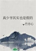 真少爷其实也是假的TXT