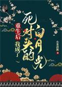 重生后我成了死对头的白月光 懿木樨