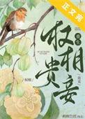 权相的宠妻日常全文免费阅读