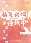 注意过那些濒死动物的眼睛吗