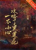 一不小心攻略了起点渣男