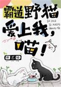 霸道野猫爱上我喵笔趣阁