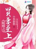 暖婚之追思妻攻略