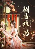 驸马难为(女尊)