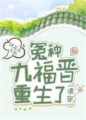 清穿九福晋笔趣阁