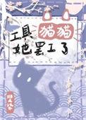 猫猫工具箱是