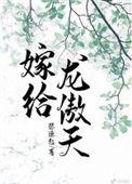 嫁给龙傲天文by张源起讲的什么