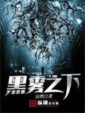 黑雾之下袁数