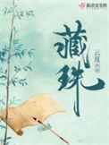 藏珠完结加番外