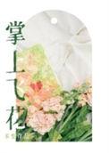 掌上飞花po版笔趣阁最新章