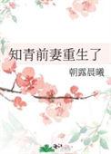 知青前妻重生了铃溪